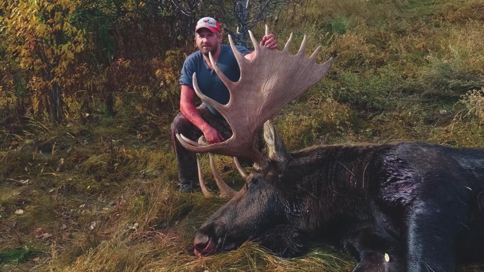 Pro tips for calling in big bull moose • Outdoor Canada