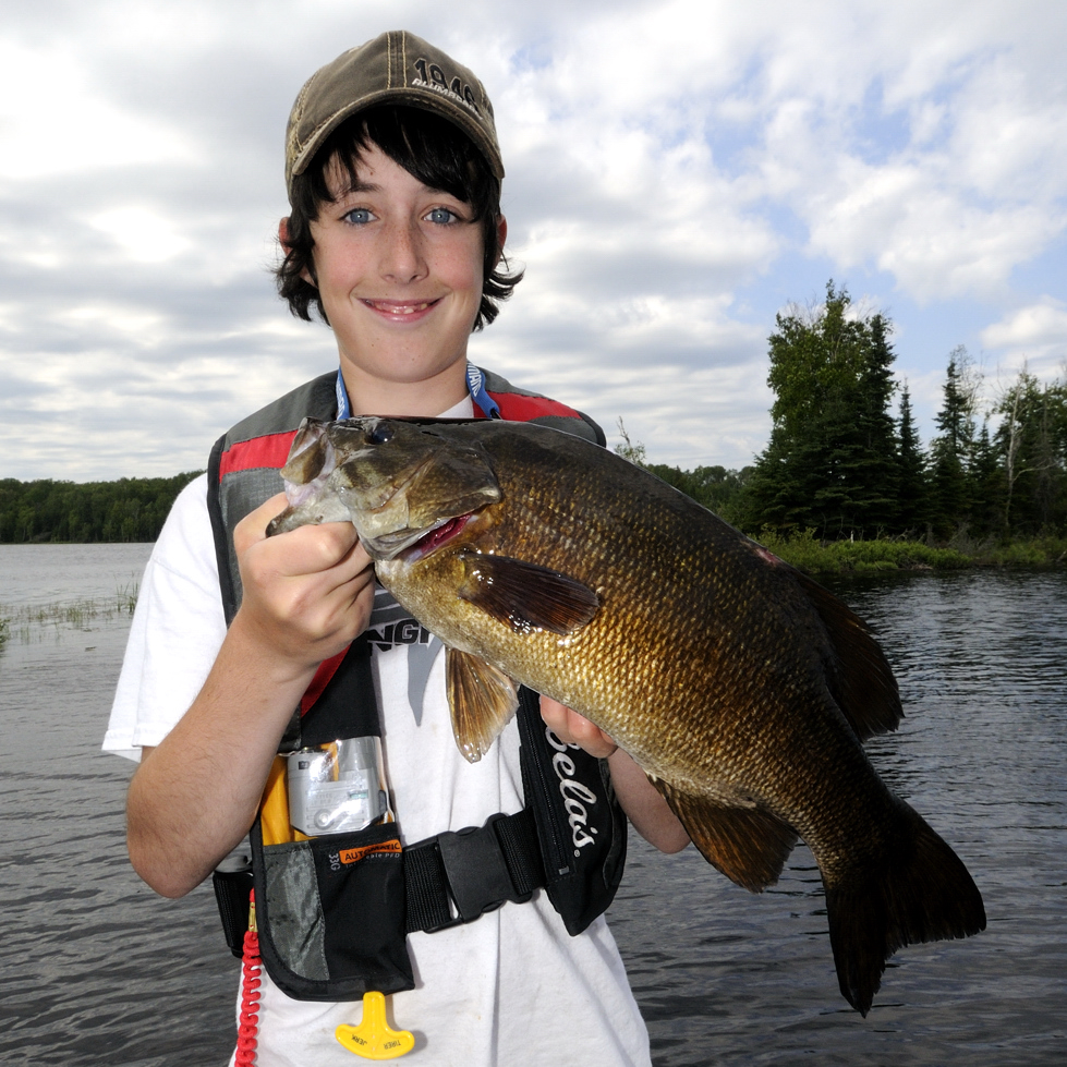 In the spring, guarding male smallmouth bass will stop eating but will absorb water through their skin in oder to make them look big and intimidating to any potential intruders