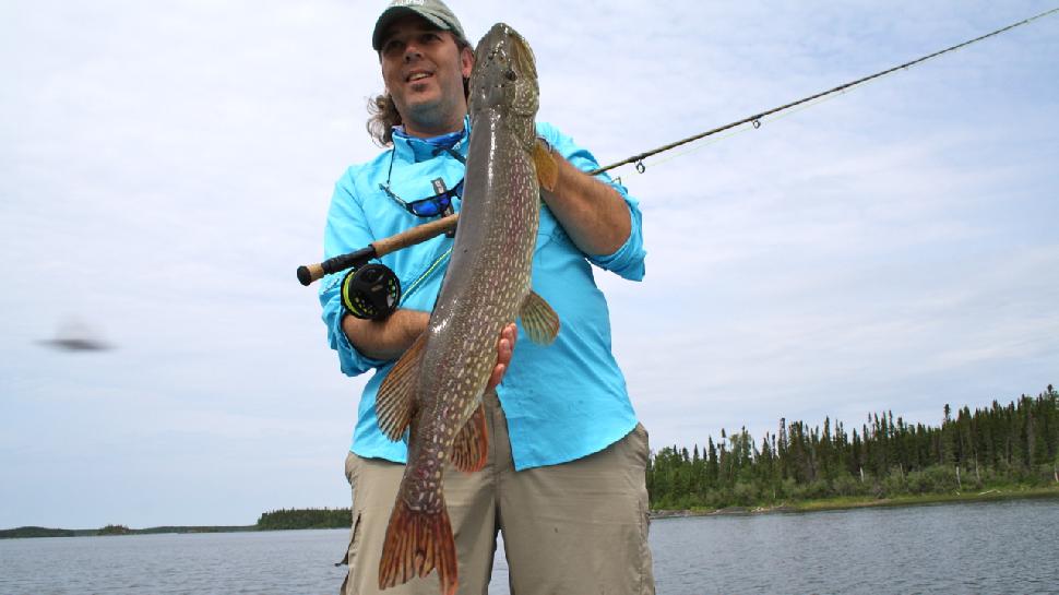 Credit: Scott Gardner Even on large fish,  the key is to strike quickly but not hard. For this northern pike, the author used two strip-sets to drive home the size 1/0 Lefty's Deceiver fly.