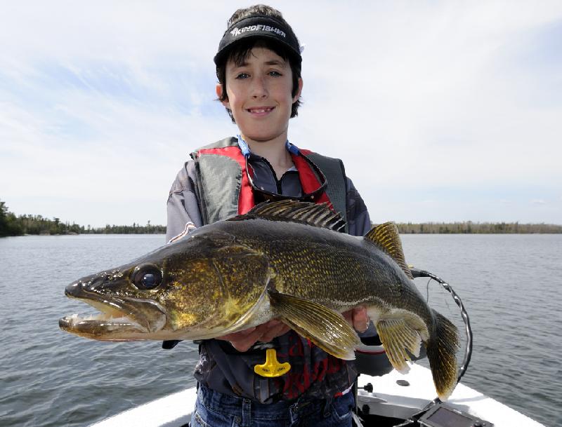 Walleye