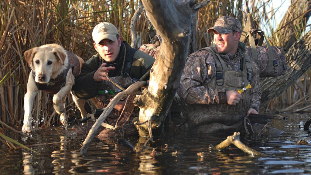 How expert trainers keep their hunting dogs safe in cold weather