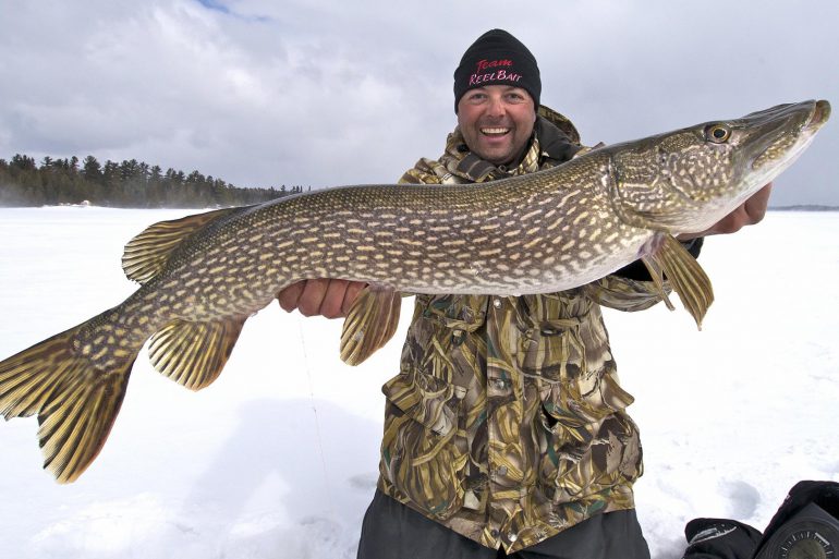 Northern pike
