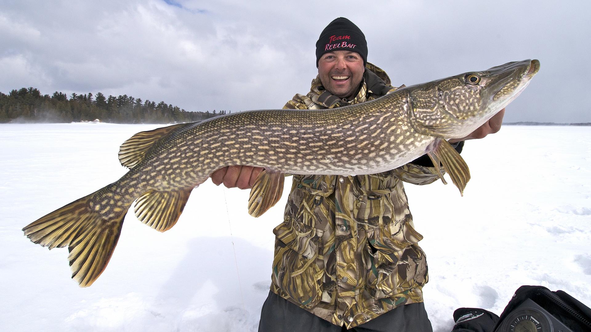 Why you've got to try jolting jigs for northern pike • Outdoor Canada