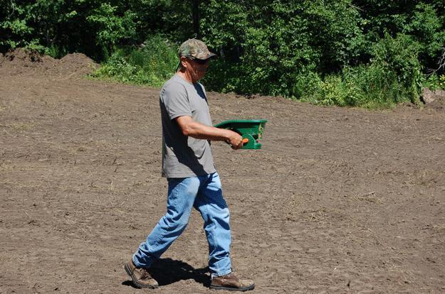 The author used a handheld seed spreader to scatter a blend of sugar beet, daikon radish, turnip and forage rape, planted at four pounds of seeds per acre. Credit: Rocky Crawford.