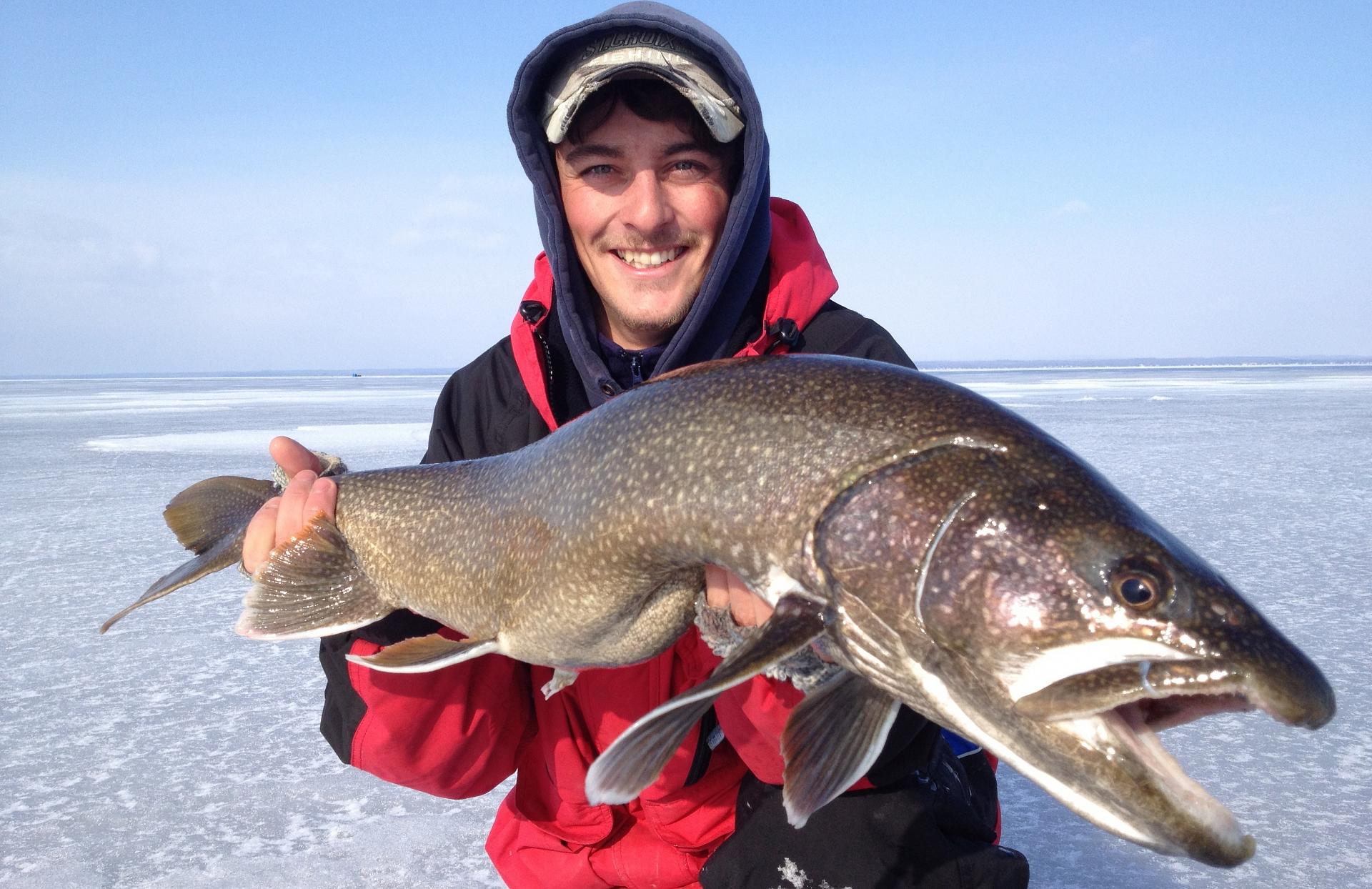 Perch pretender for trophy lake trout • Outdoor Canada