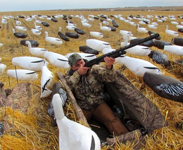 Credit: Wes David. For snow goose hunts, you need a 12-guage that will reliably cycle shell after shell without jamming.