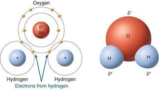 The pernicious, yet terrifyingly common dihydrogen monoxide molecule.