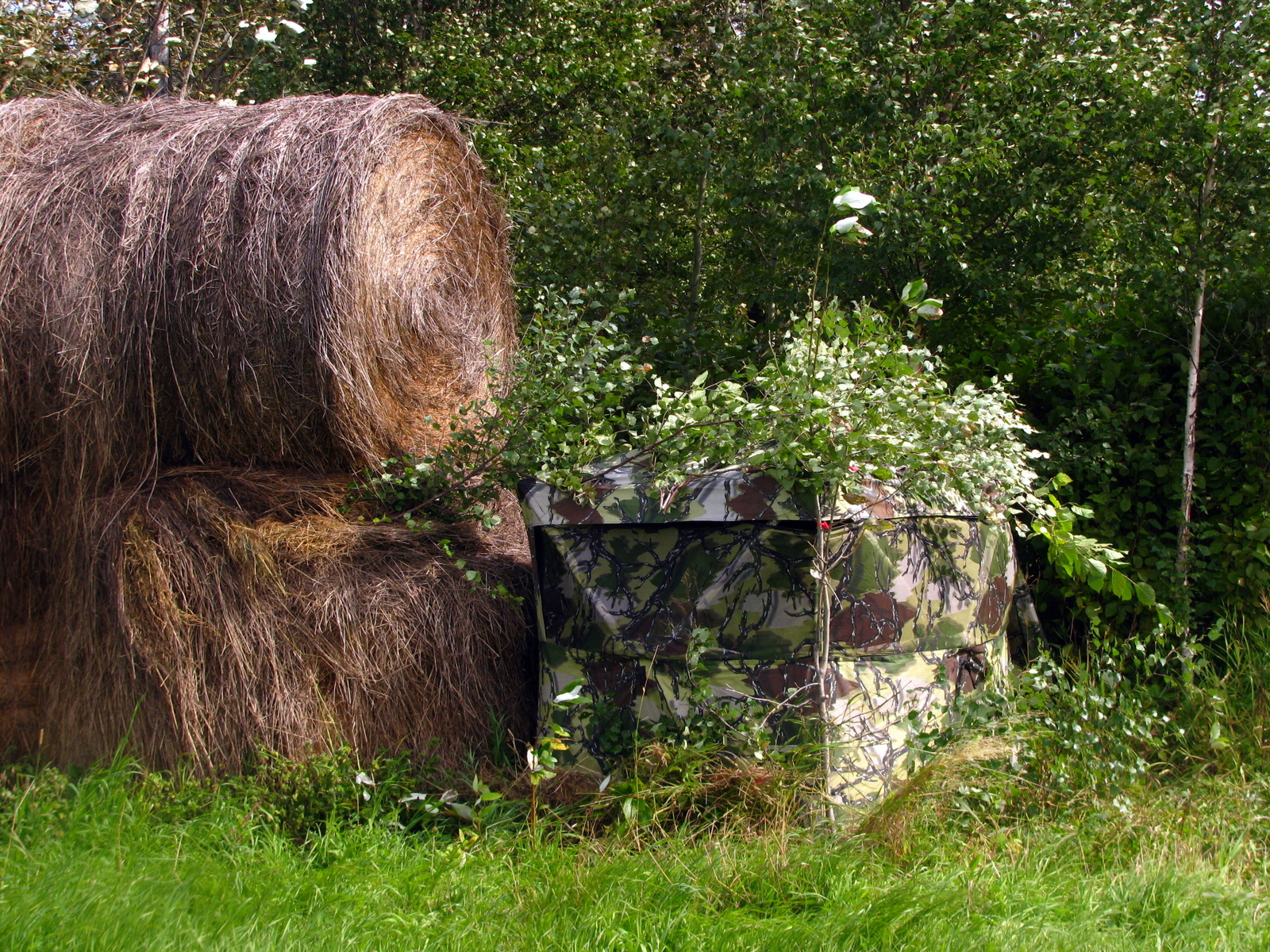 Field Edge Blind