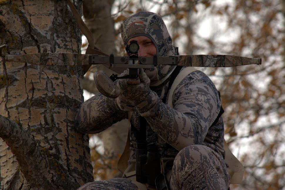 Tree Stand Aim