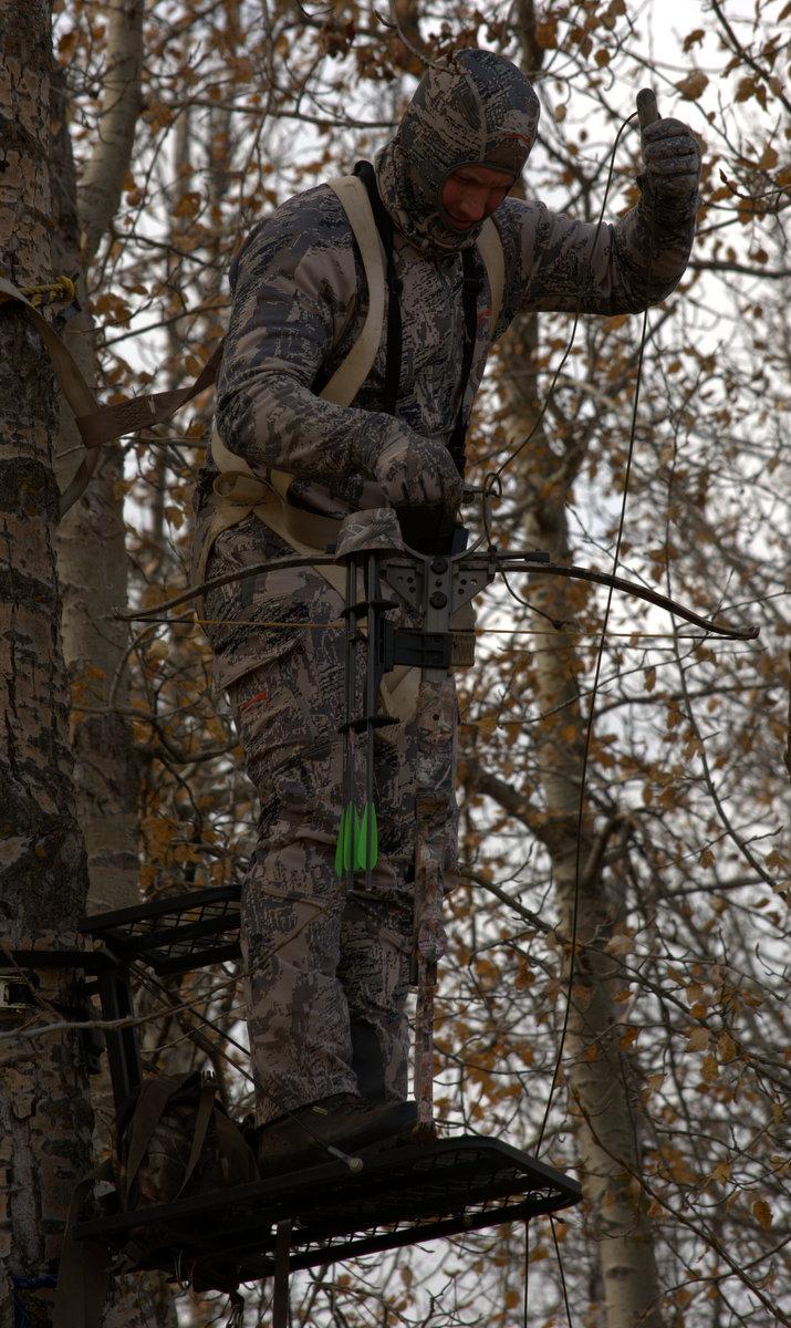 Tree Stand and Bow