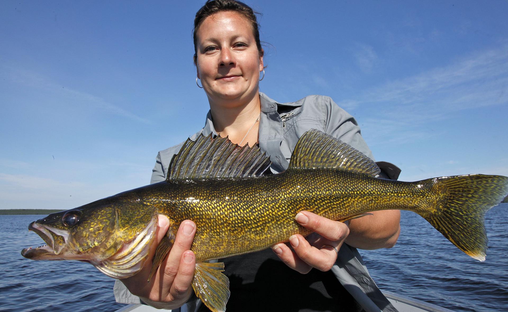 How to Catch Big Walleye in Spring Anywhere in Canada