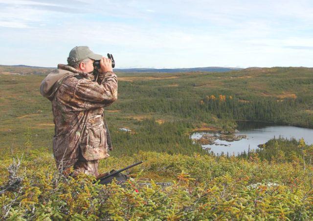 When glassing for bears, focus on south-facing slopes and edge habitat such as lakeshores.