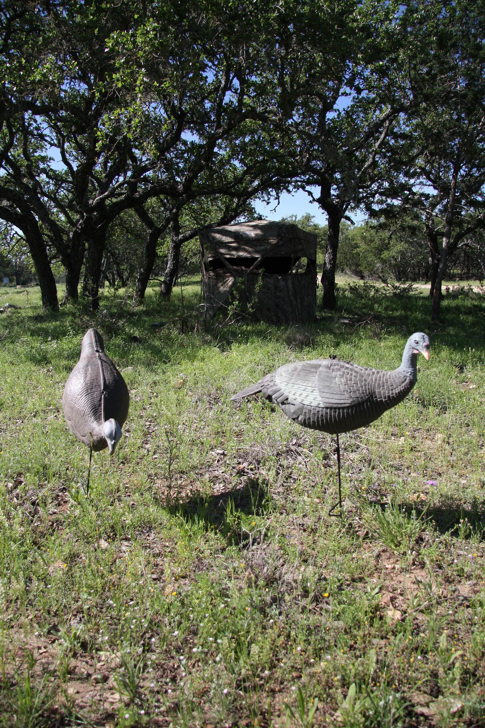 Blind and decoy setup