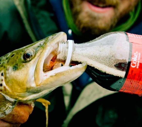 Fish and coke