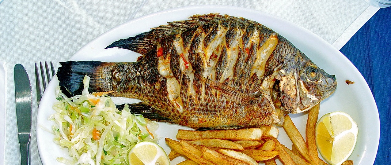 Tilapia dish