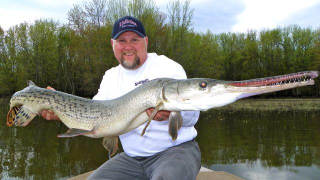 Credit: Rod Jackson. Guide Rob Jackson with a huge gar.