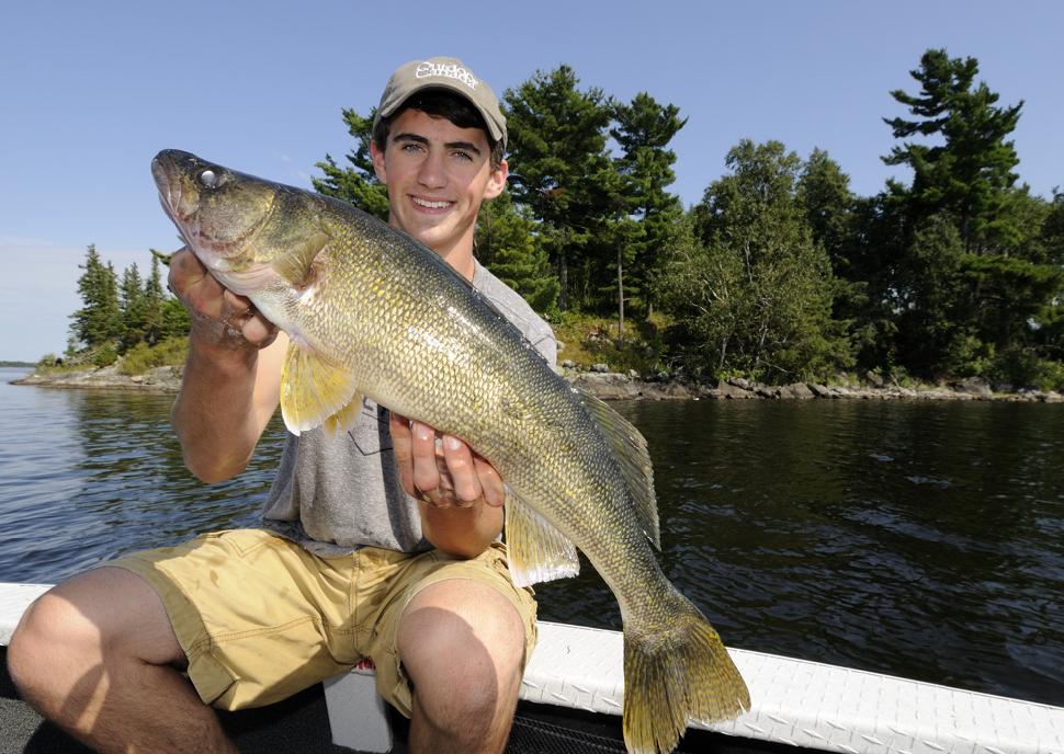 Walleye