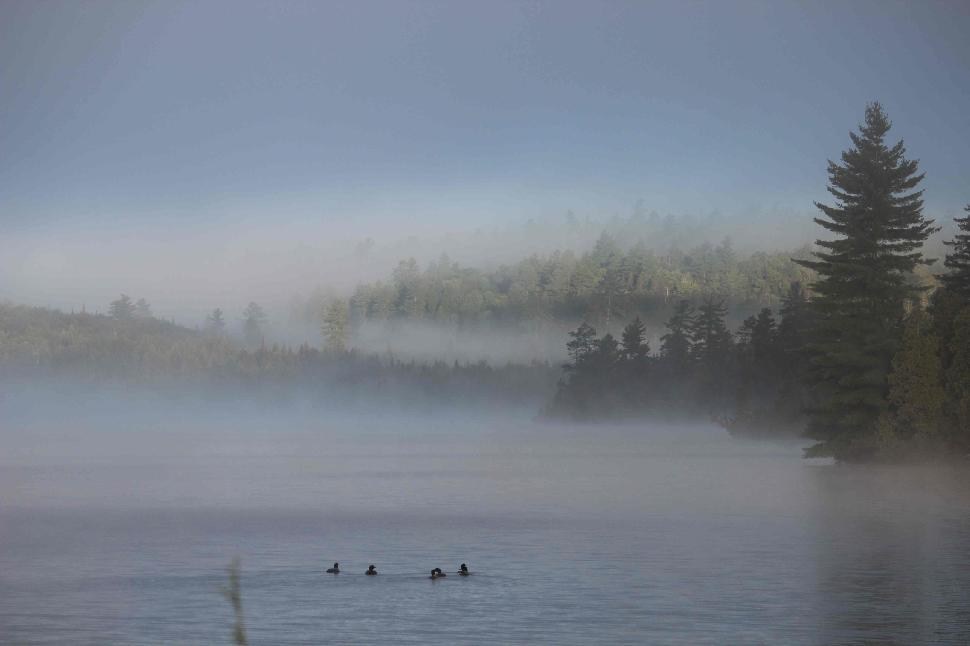 Jon Baker captured this awesome dawn scene