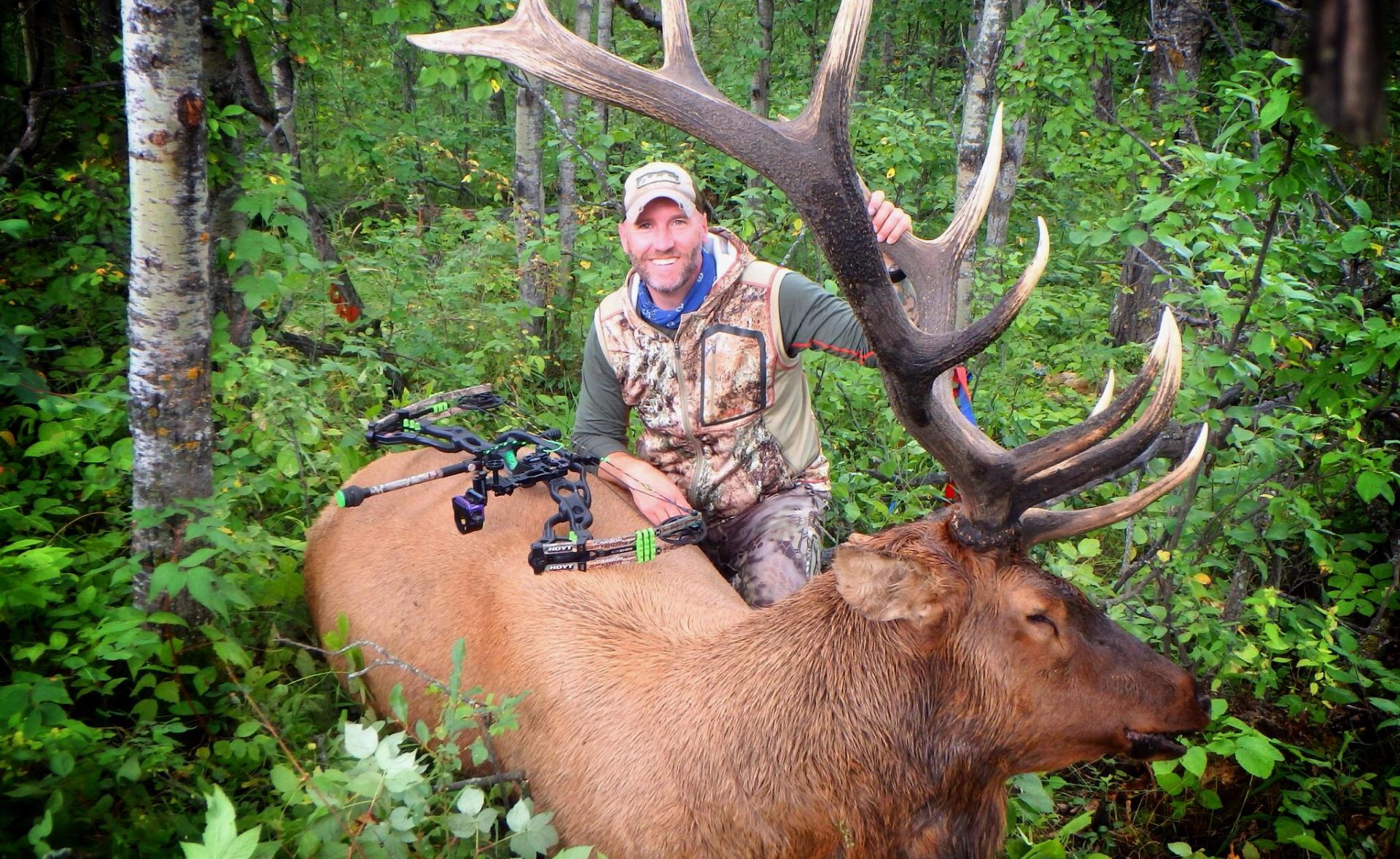 Pro secrets for bowhunting early-season elk