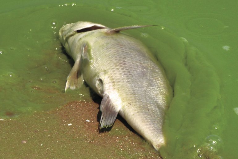 Via Tom Archer/Universtiy of Michigan