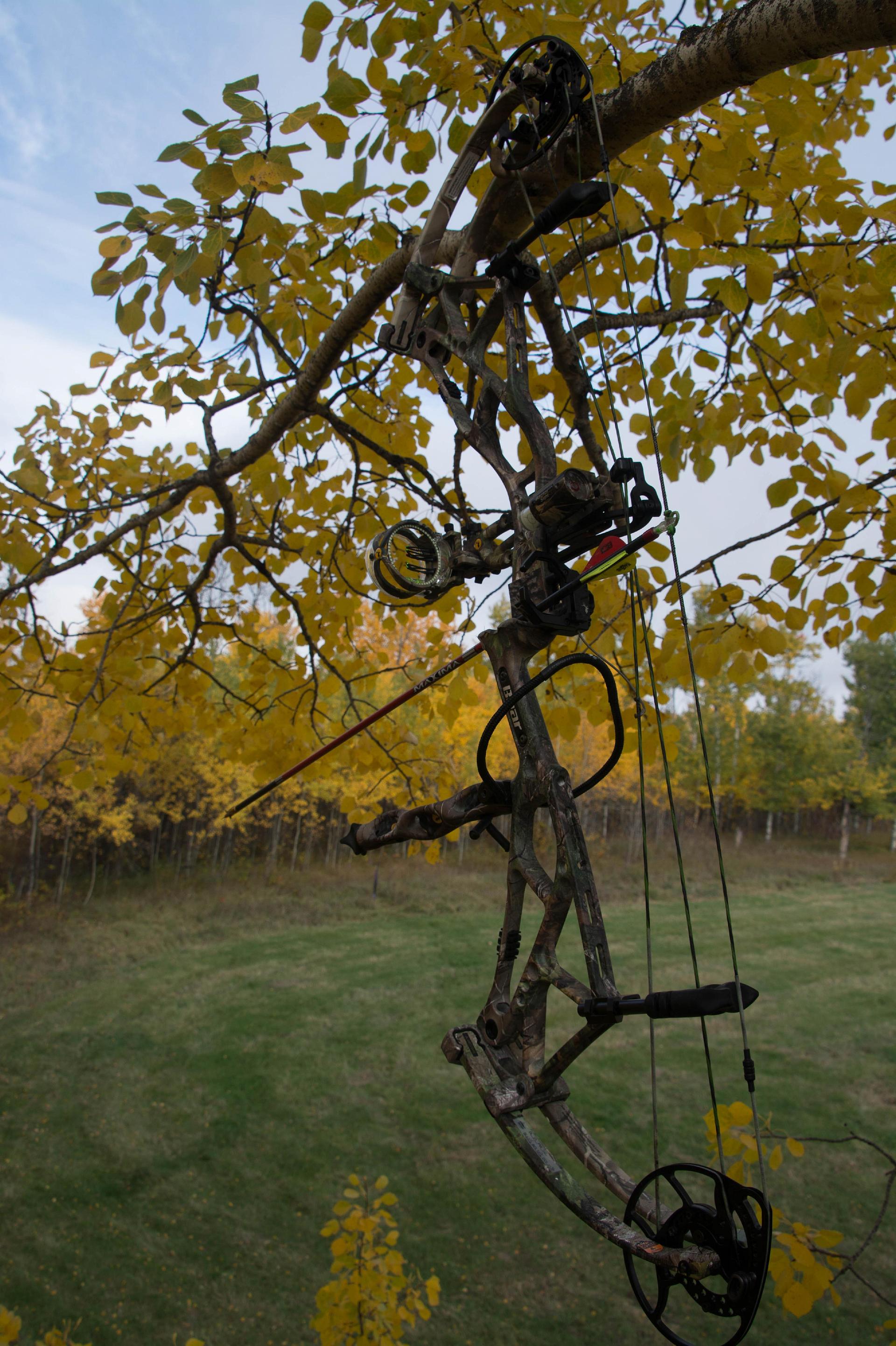 Arrow nocked, bow drawn back and checked. Ready for something to show up. Credit: nuttallphotos.com.