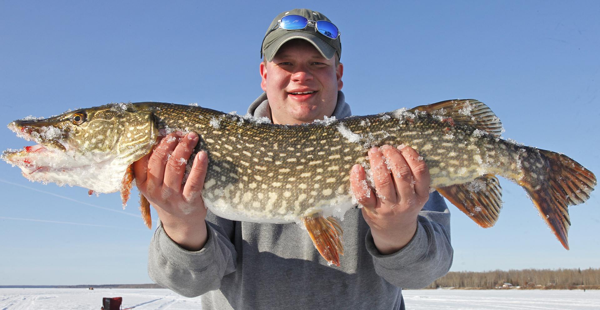 How to catch big hardwater pike all season long • Outdoor Canada