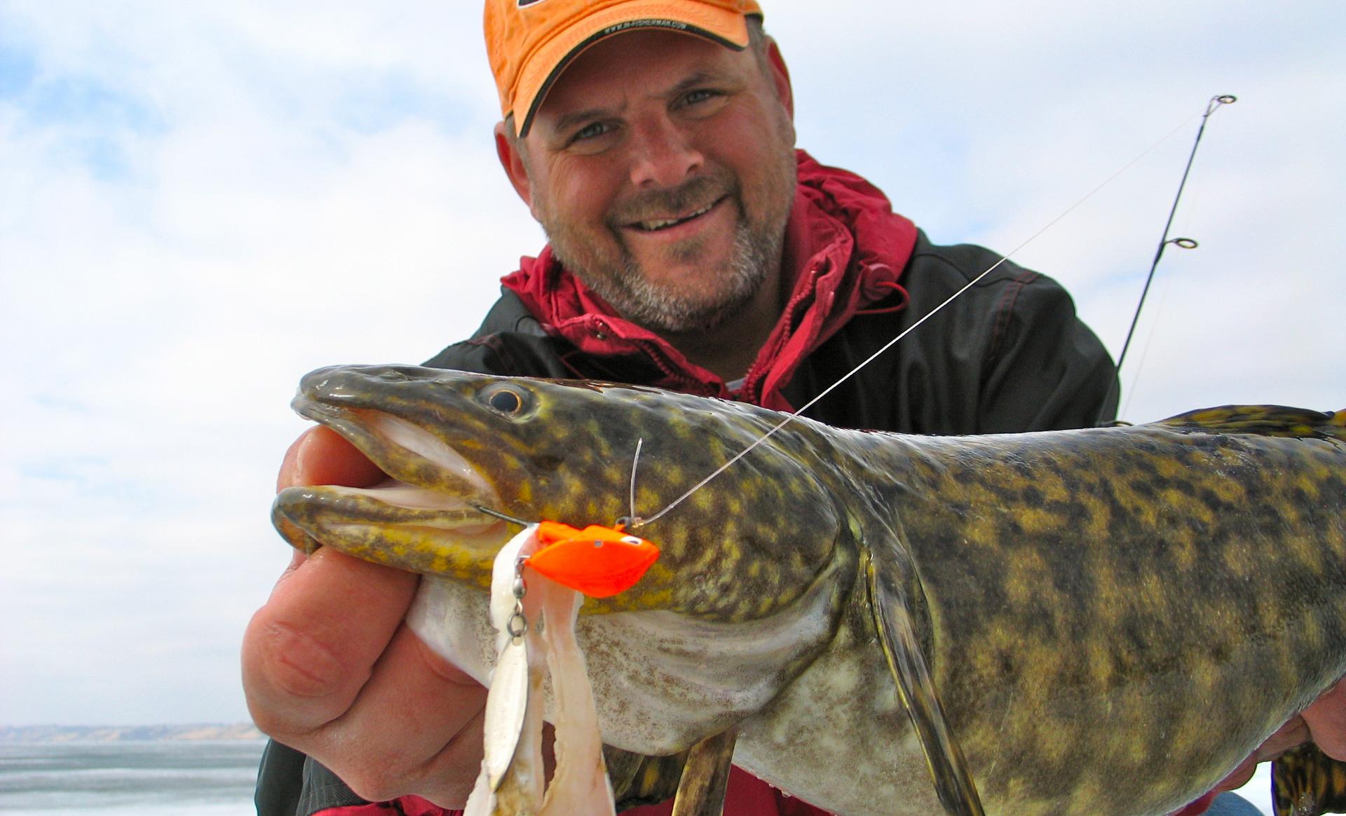 Why you should hit the ice for Canada's most underrated gamefish: burbot •  Outdoor Canada