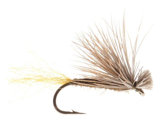 X-Caddis