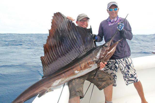 Credit: Bob Sexton. The author's prize sailfish.