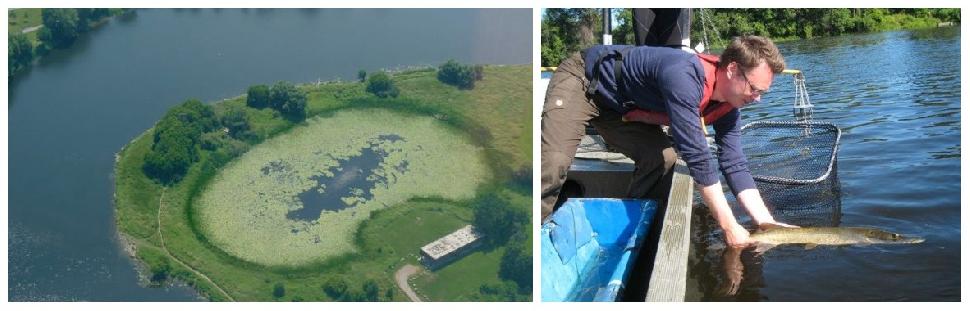 Brewer pond before and after restoration.