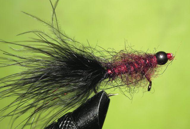 Credit: Neil Waugh. The black and maroon balanced leech.