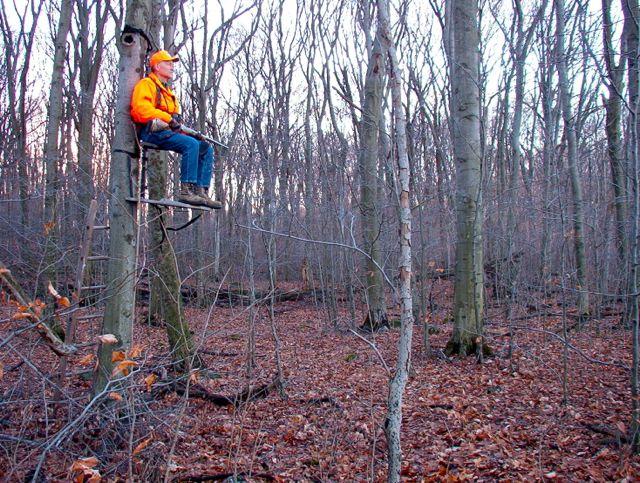 Treestand