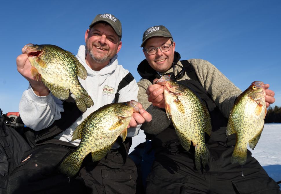 Crappie