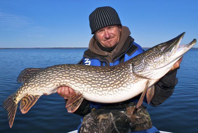 Credit: Pete Bowman. Pete Bowman and a monster Tobin northern pike. 