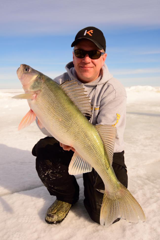 Walleye