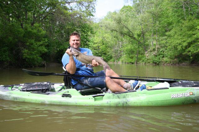 Channel catfish