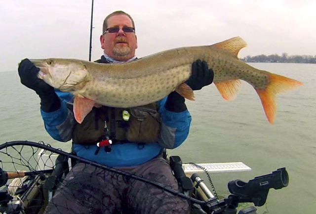 Tim Percy with a 45-inch muskie