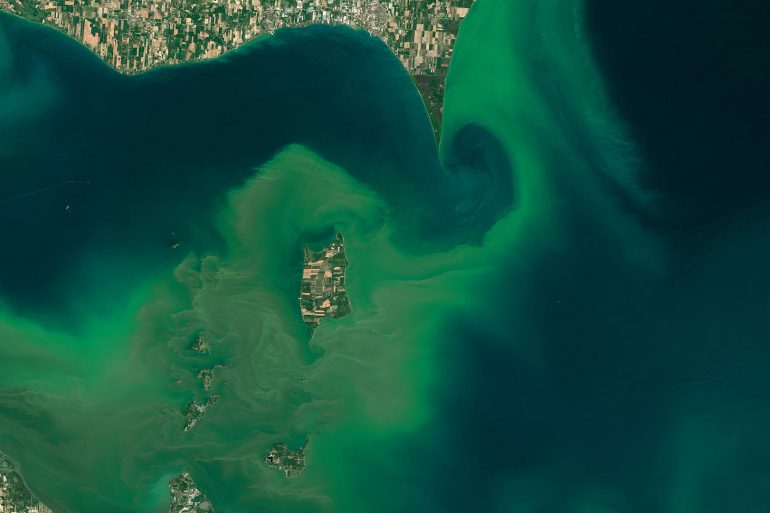 Via Joshua Stevens/NASA Earth Observatory