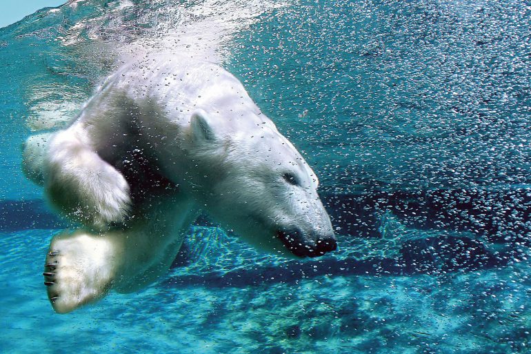 Via Aquarium du Quebec