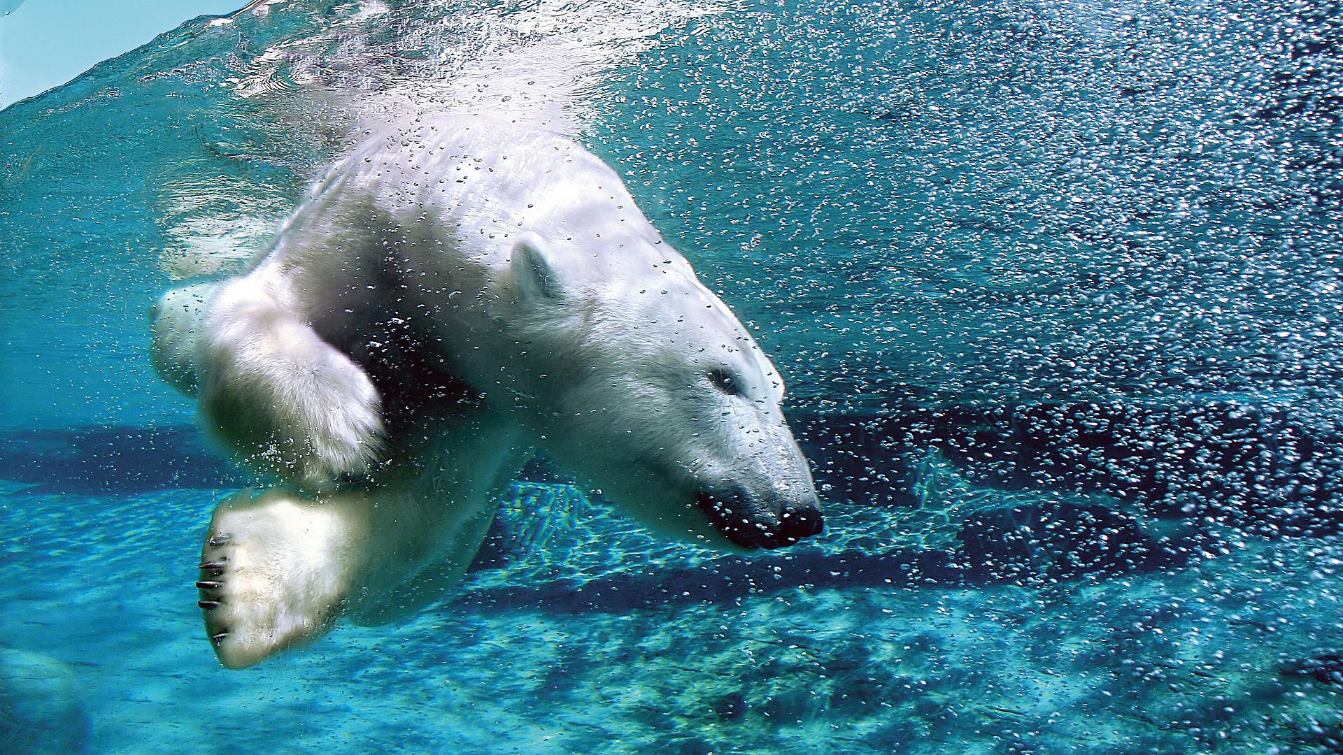 Via Aquarium du Quebec