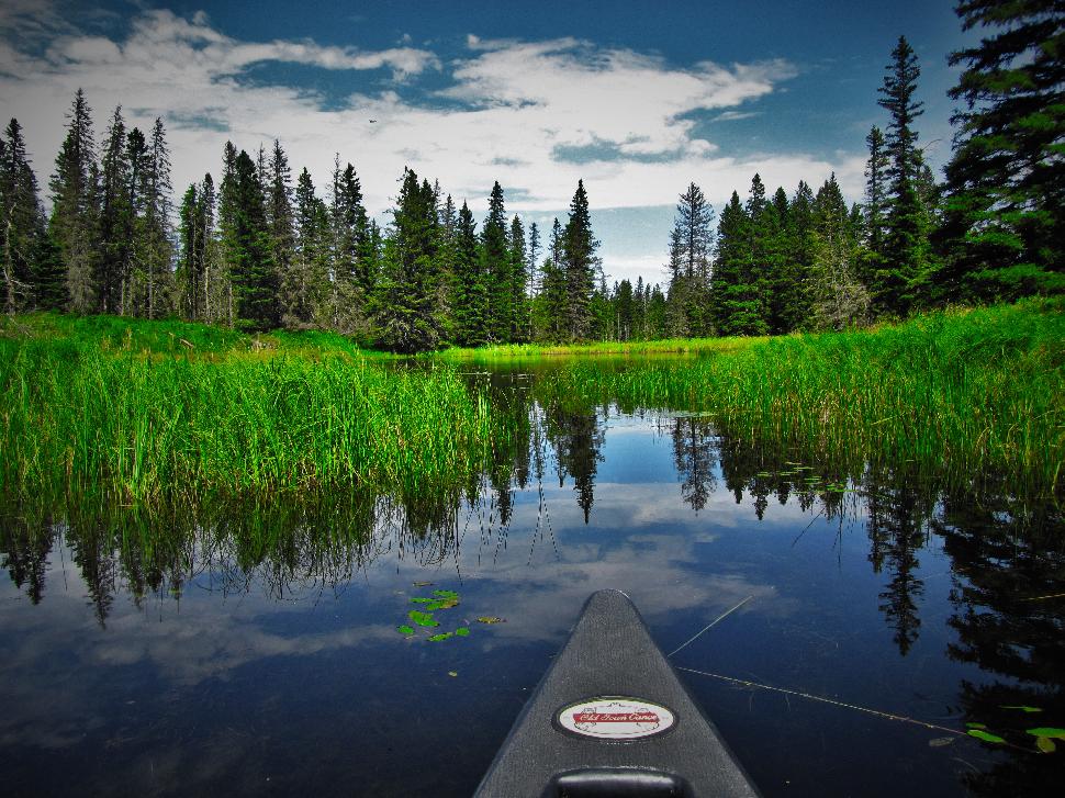 Kayak Nose