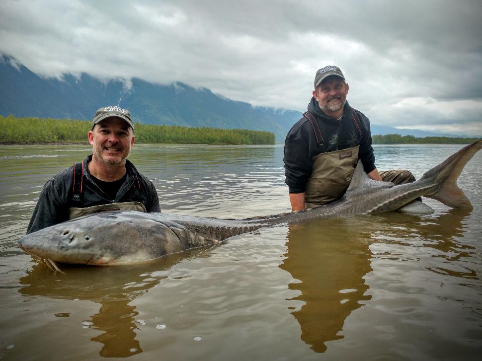 PB sturgeon