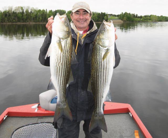 Credit: Gord Pyzer. The author with more lunker striped bass.