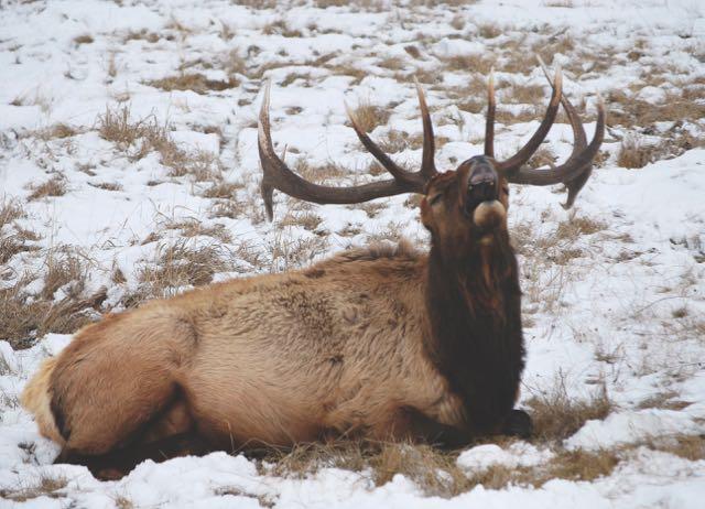 USFWS Mountain-Prairie