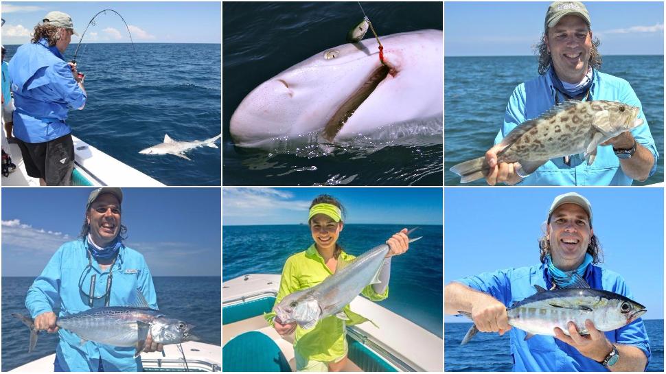 Fishing the Keys: Sweat, blood, slime, blender drinks and shark attacks