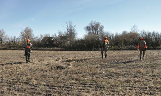 Position hunters to thwart bird escape routes. Credit: Mike Hungle.