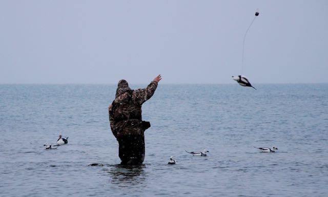 Ducks Unlimited Canada/Chris Benson