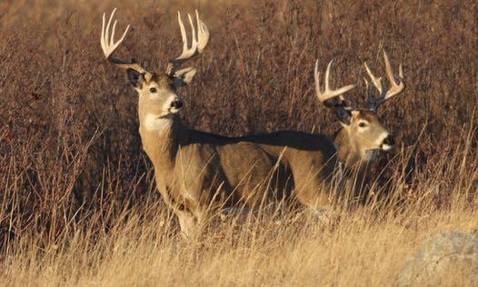 Tourism Saskatchewan/Brian Wolitski