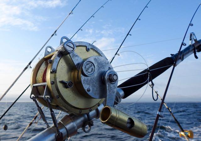 A tuna reel sits idle. Credit: Patrick Walsh.