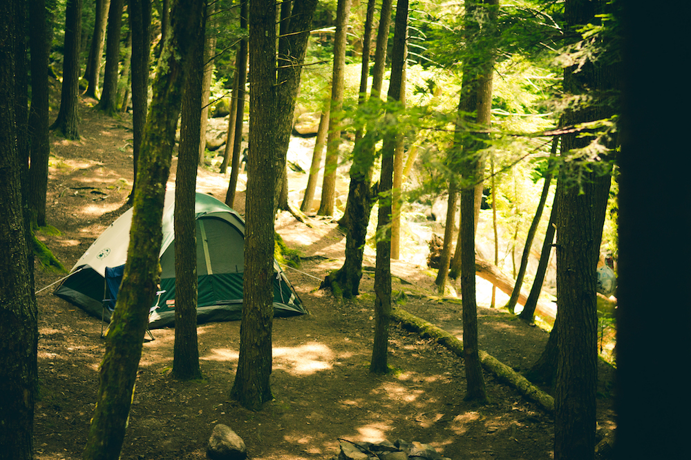 Camping in the forest